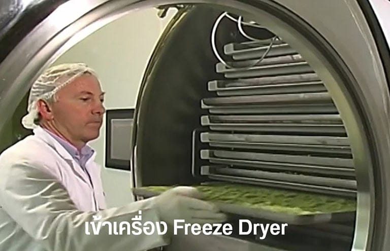 สกัดเอาน้ำออกจากน้ำมันอะโวคาโดด้วยวิธีการฟรีซดราย