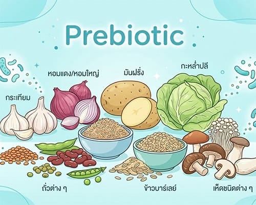 Prebiotic คืออะไร
