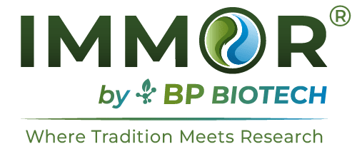 IMMOR Logo