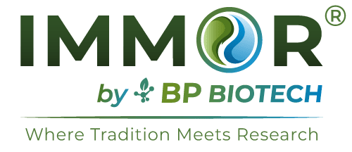 IMMOR Logo