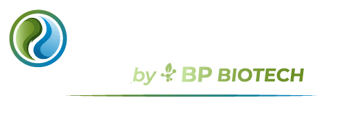 IMMOR Logo