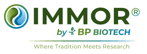 IMMOR Logo
