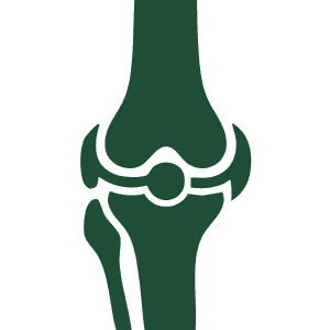 bone group icon g300