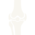 bone group icon w