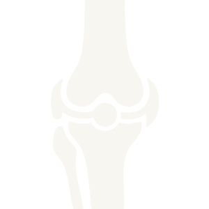 bone group icon w300